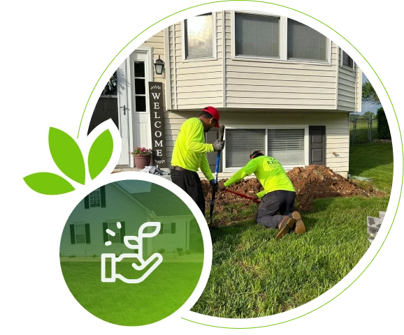 Landscaping crew planting and working in front yard in Kirkwood