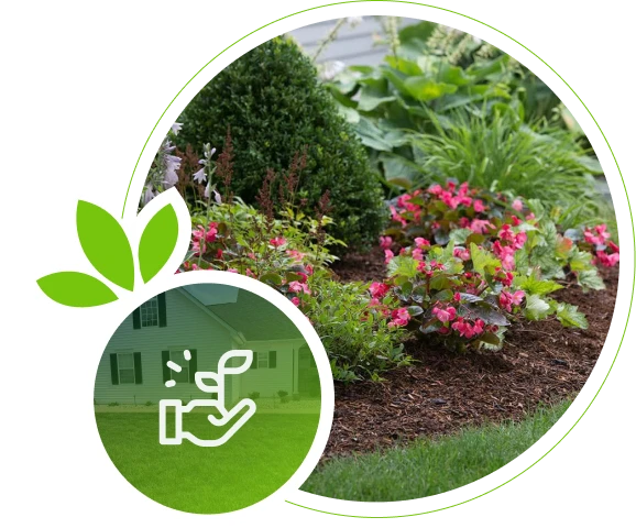 Flower bed with mulch, shrubs, and pink blooms in Kirkwood