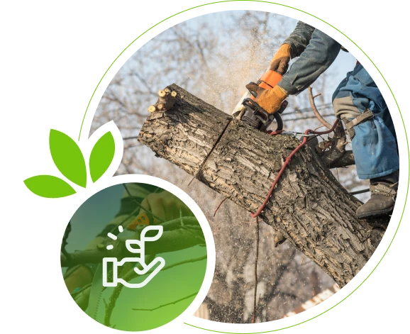 Worker cutting tree trunk with chainsaw during removal in Chesterfield