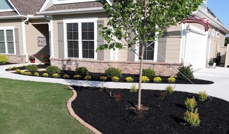 Front yard landscaping with mulch, shrubs, and young tree in Kirkwood.